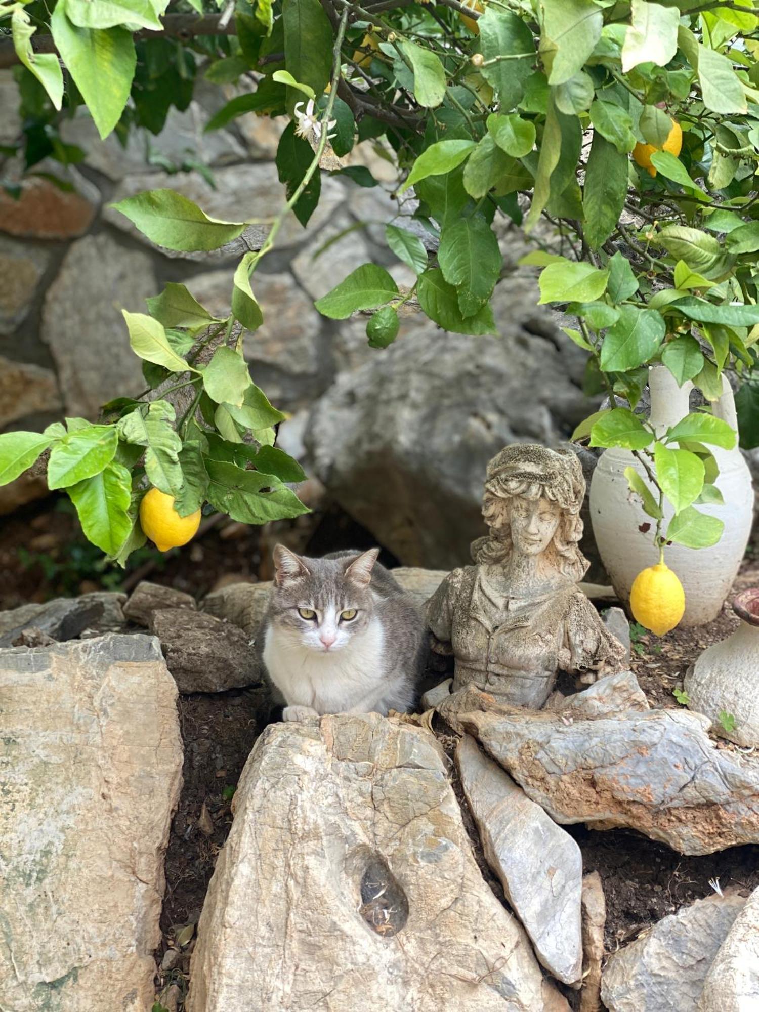 Hotel Villa Tokur Datça Luaran gambar