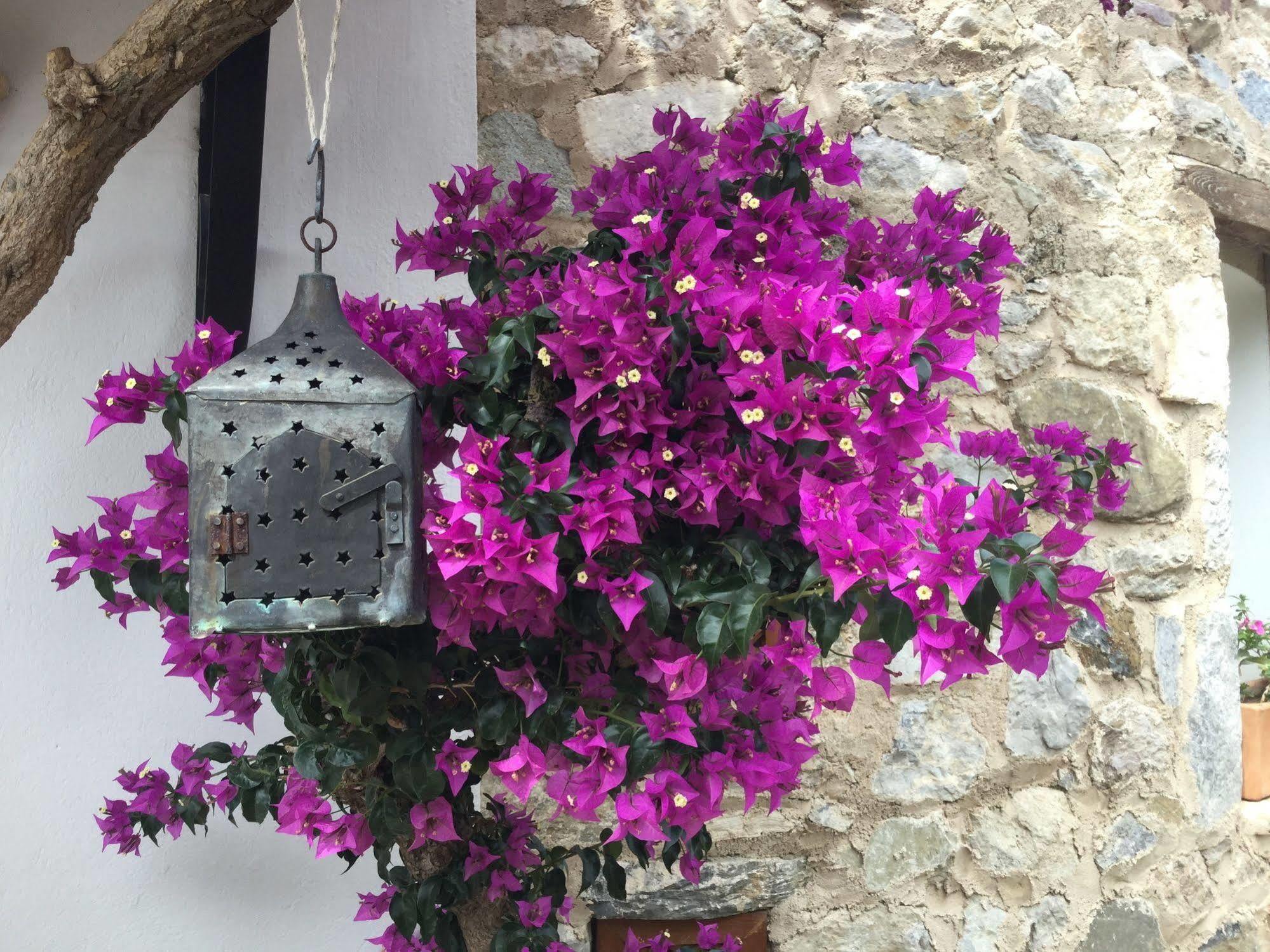 Hotel Villa Tokur Datça Luaran gambar